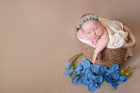 beige background with space for text with baby sleeping in a wicker basket decorated with blue orchid flowers. beautiful sleeping baby on a beige background