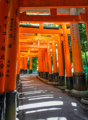 Fushimi Inari Taisha torii shrine, Kyoto, Japan