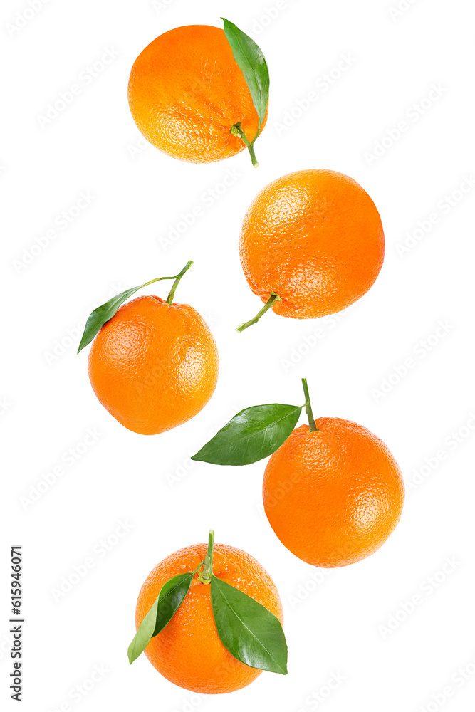 Poster isolated oranges. falling whole orange with leaf isolated on white background with clipping path as 