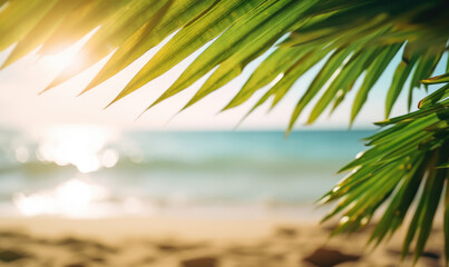 Fototapeta na wymiar Photo of sun rays passing through the lush green palm tree leaves, beach summer concept, background