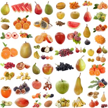 group of fruits in front of white background