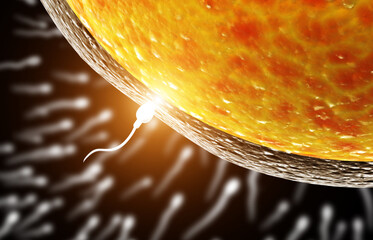 Spermatozoon, floating to ovule. The moment of fertilization of an egg with a sperm. On black background. 3d render - obrazy, fototapety, plakaty