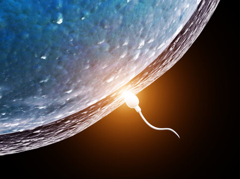 Spermatozoon, floating to ovule. The moment of fertilization of an egg with a sperm. Isolated on black background. 3d render