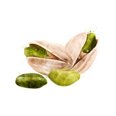 Pistachios, isolated illustration on a white background