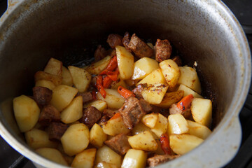 beef stew with potatoes and carrots on the village in the pot. selective focus