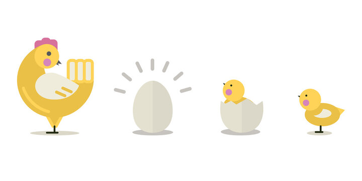 Chicken family vector illustration over white.Egg,chicken animals bird