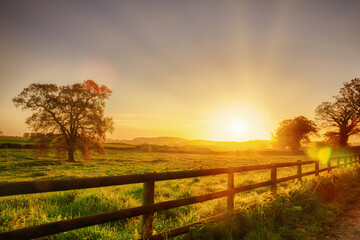 Glorious sunrise over grassy rural landscape in Norfolk UK with a two bar fence disappearing off...