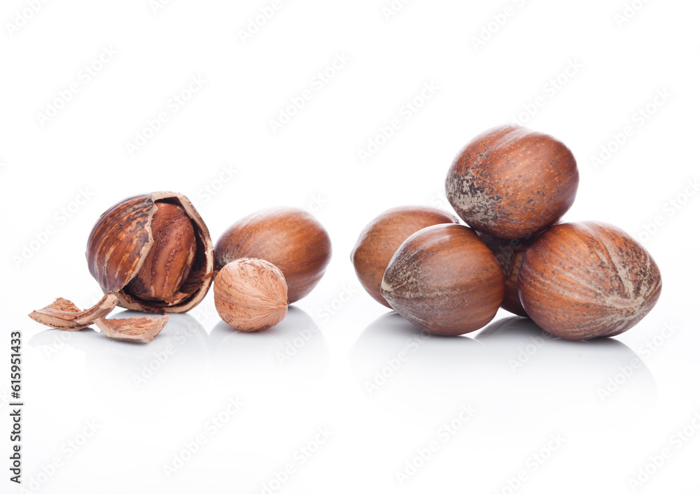 Poster raw hazelnuts with shell on white background with reflection