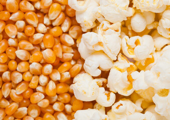 Raw golden sweet corn and popcorn seeds half plate macro