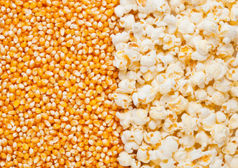 Raw golden sweet corn and popcorn seeds half plate macro