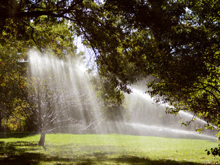 Rays of sunlight shine through a tree onto water from a sprinkler, watering a lawn in Central Park, New York City