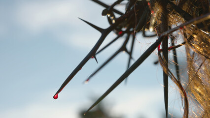 The crown of thorns of jesus with blood in detail and the sun on the strands of hair