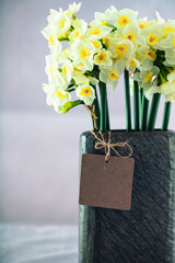 Mother's day. Narcissus flowers with card. Spring flowers