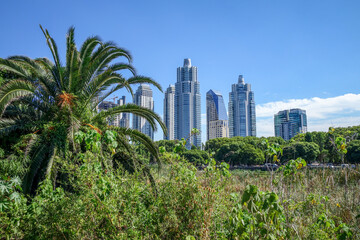Buenos Aires cityscape, view from Costanera Sur ecological reserve