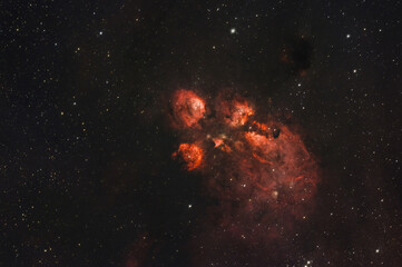 Bear Paw Cats Paw Nebula