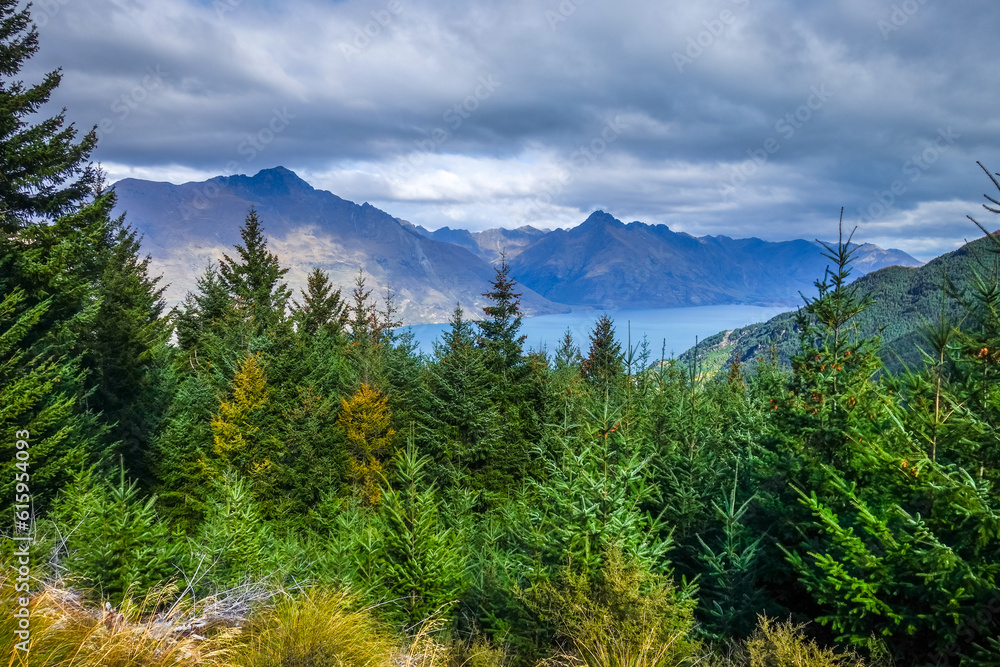 Wall mural lake wakatipu and mountain forest panorama, new zealand