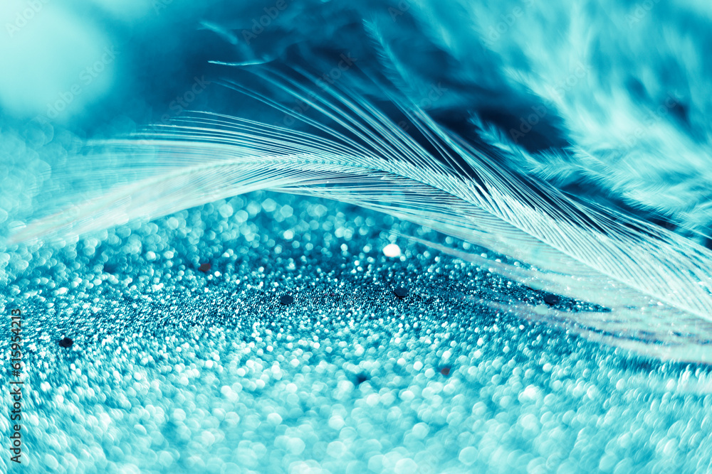Poster soft feather with sparkles with artistic bright light and shadows. soft blurred background of artist