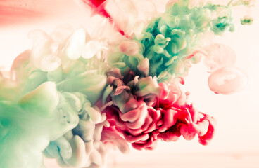 Fototapeta premium green and red splash on white background. It is a paint of splash in colorful view.