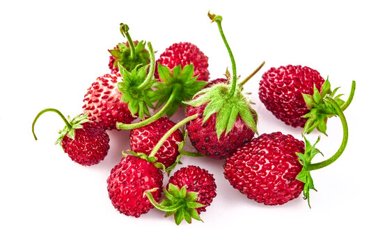 Berry wild strawberry with green leaves handful fresh strawberries healthy food, isolated on white background.