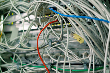 a bunch of patch network cables sorted in a rack cabinet leading from a patch panel in a server rack in a data center room internet cloud storage