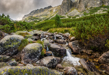 Fototapeta na wymiar Mountain Landscape with a Creek and Rocks in Foreground on Cloudy Day. Mlynicka Valley, High Tatra, Slovakia.
