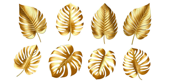 Set of golden tropical monstera leaves isolated on transparent background - Generative AI