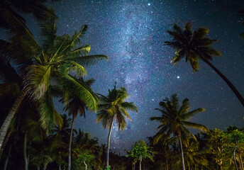 Night shot with palm trees and milky way in background, tropical warm night - Powered by Adobe