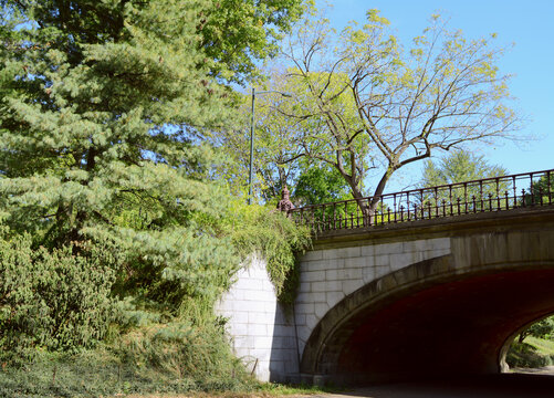 Winterdale Arch in Central Park, New York City, surrounded by tall trees and lush vegetation