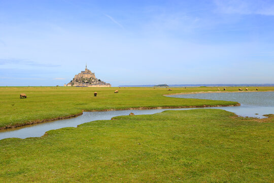 Le Mont-Saint-Michel and sheeps in the bay