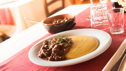 Tasty italian lunch at the restaurant: polenta with deer stew