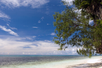 Beautiful tropical paradise in Maldives with palms hanging over the white and turquoise sea