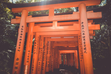 Fushimi Inari Taisha torii shrine, Kyoto, Japan