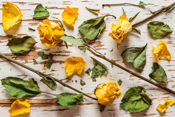 Scattered on the textured surface of the table yellow dry old roses with petals and leaves.