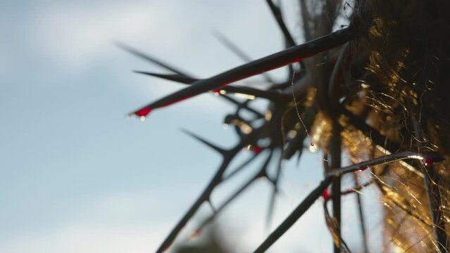 A dolly shot of the Crown of Jesus with blood dripping. Close-up view of the crown of thorns worn by Jesus during his crucifixion.