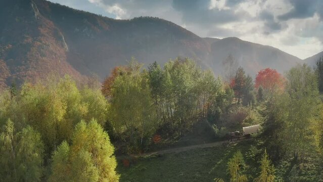 Old wagon pulled by a horse through a forest and the sun breaking through the clouds and misty hills. Drone shot