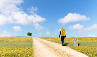Camino de Santiago - A young pilgrim with a yellow backpack, walking alone in the barren and impressive Spanish plateau, on a pilgrimage to Santiago de Compostela - Selective focus - obrazy, fototapety, plakaty