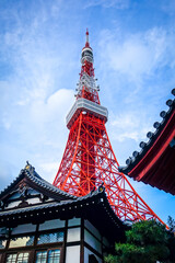 Tokyo tower and traditional shinto temple, Japan - obrazy, fototapety, plakaty