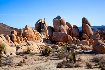 Giant rocks along the Cap Rock hike in Joshua Tree National Park