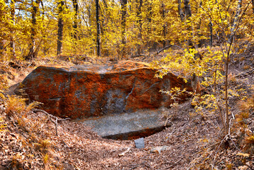 erratic boulder with lichens on the surface in the woods of regional park of Campo dei Fiori Varese with autumn colors