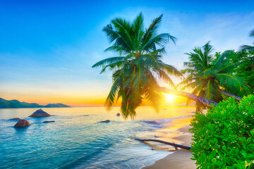 Beautiful sunset over the sea with a view at a single palm on the white beach in the Seychelles,...