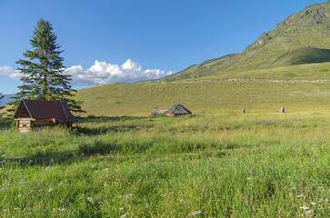 Abandoned cattle-ranch. Altai Mountains, Russia. Sunny summer day.