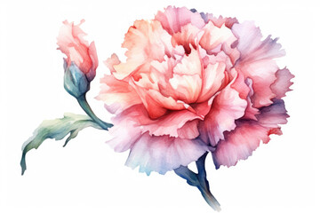 watercolor of Chrysanthemum isolated created with Generative AI technology