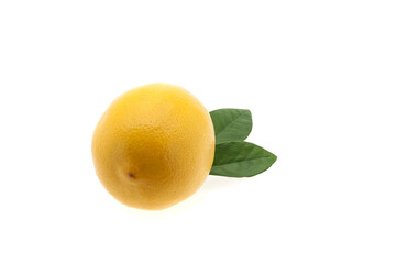 Bright lemon with two green leaves on a white background.