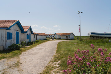 Fototapeta na wymiar summer houses near the beach, in the sunset time