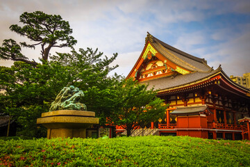 Obraz premium Senso-ji Kannon temple Hondo at sunset, Tokyo, Japan