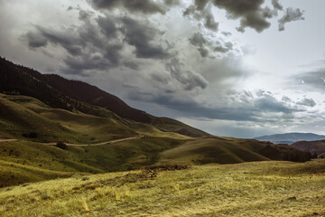 Carpathian mountains moody weather landscape. Green hill meadow, pine tree forest and cloudy sky....
