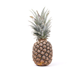 Big pineapple isolated on a white background