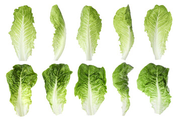 Set of fresh romaine lettuce leaves on white background, different views