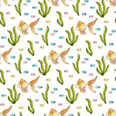 Watercolor illustration pattern of goldfish, algae and small colorful fish. Seamless repeating print of aquarium fishes, tropical inhabitants of the seas. Isolated, hand drawn.