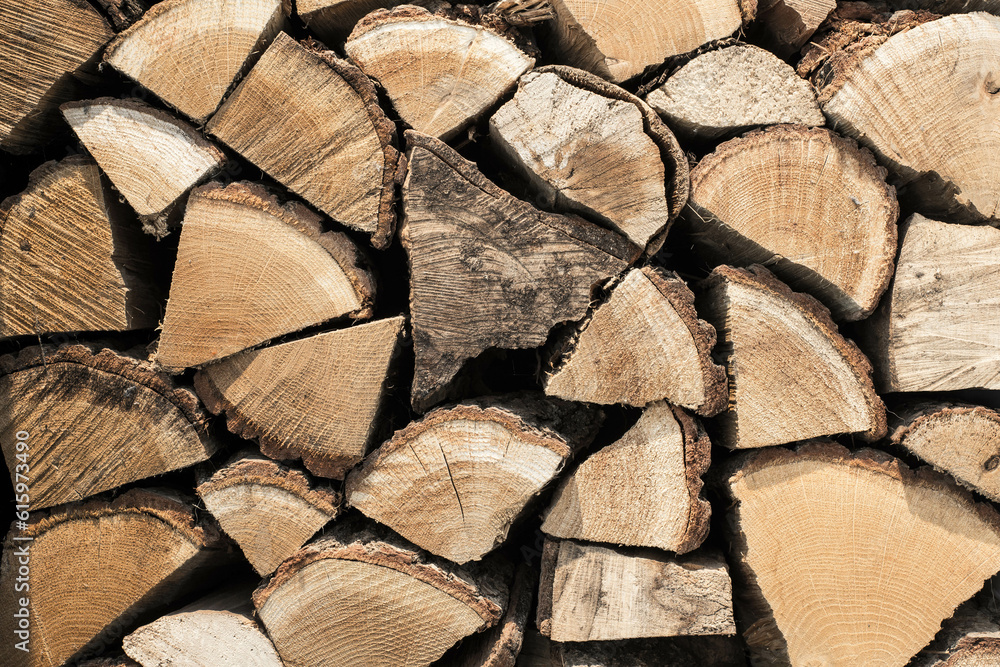 Sticker abstract photo of a pile of natural wooden logs background, top view texture